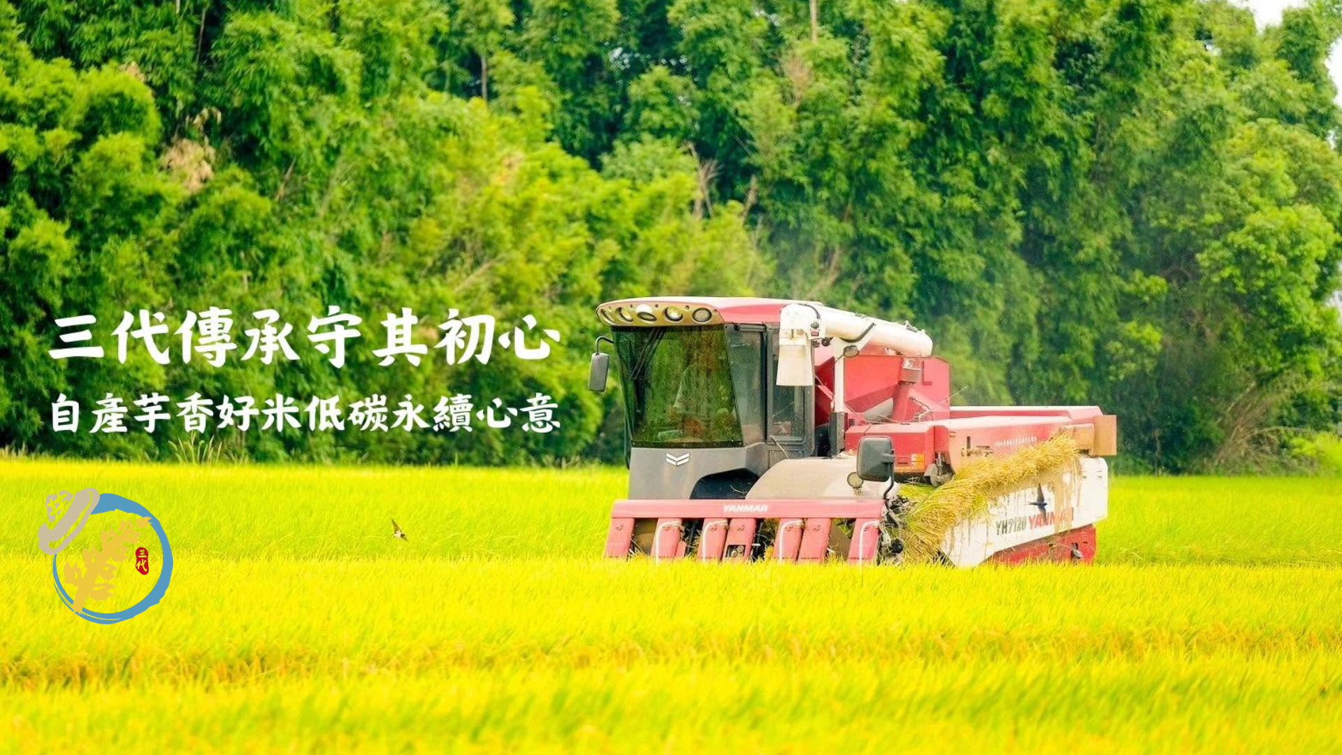 禮品公司推薦豐滄