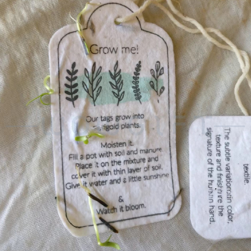 客製種子紙吊牌．台灣製環保種植紙卡．品牌活動ESG贈品