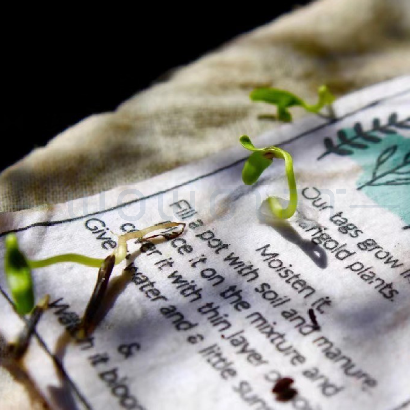 客製種子紙吊牌．台灣製環保種植紙卡．品牌活動ESG贈品