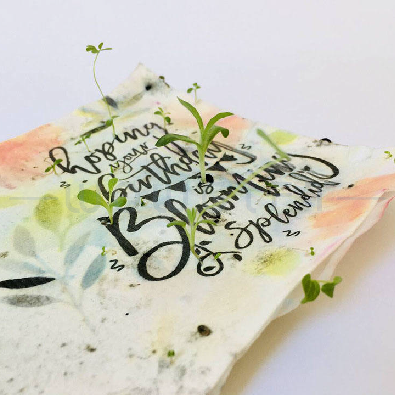 客製種子紙卡片．台灣製造可發芽環保卡