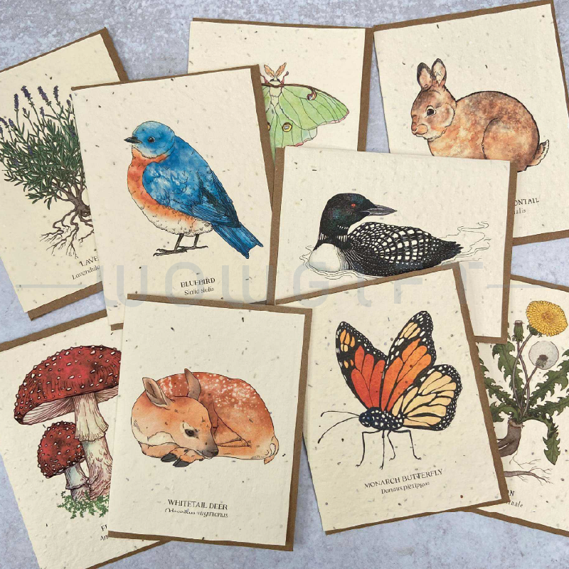 客製種子紙卡片．台灣製造可發芽環保卡