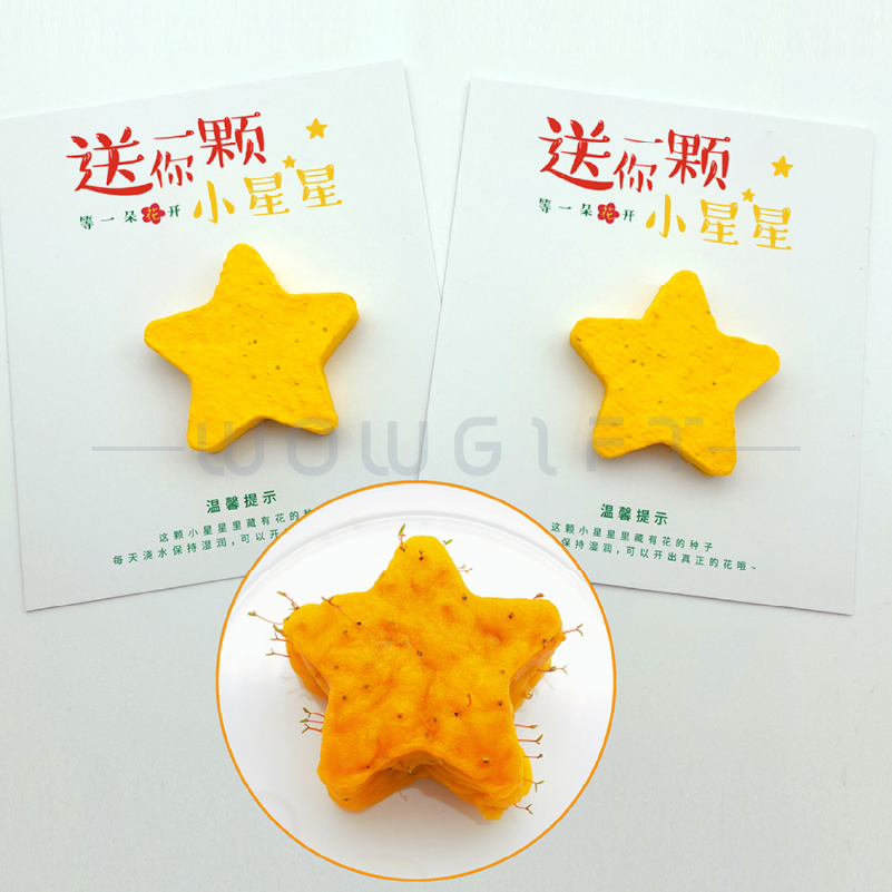 種子紙卡片．可發芽環保材質 / 客製婚禮小卡・活動入場券