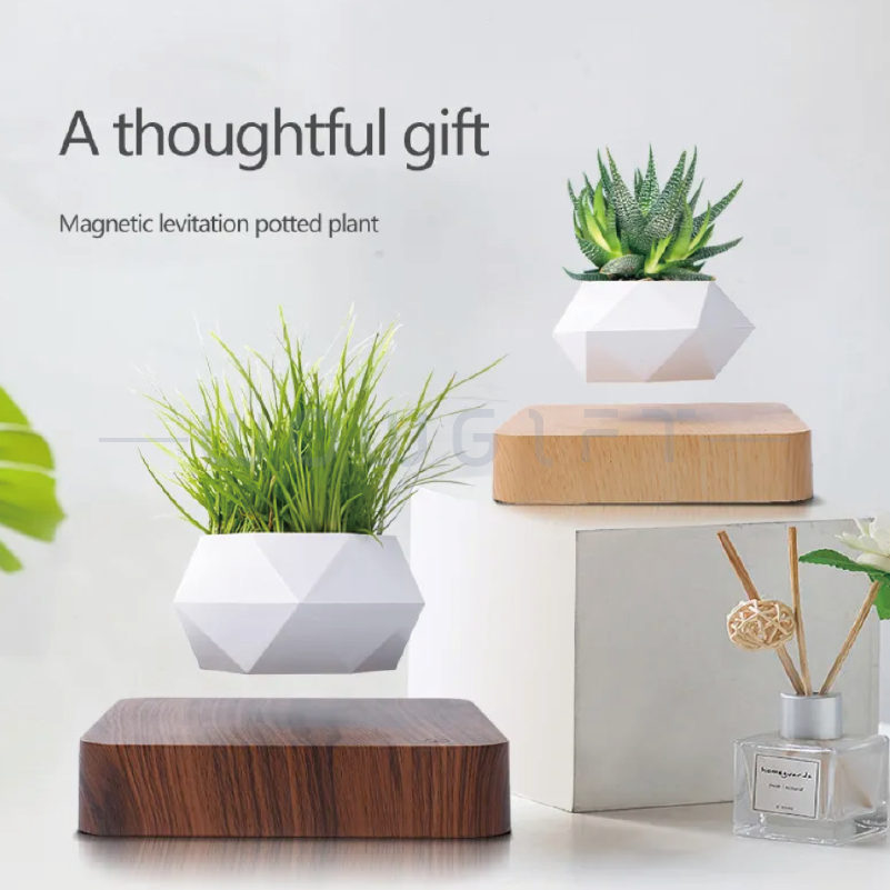 家居裝飾｜漂浮盆栽