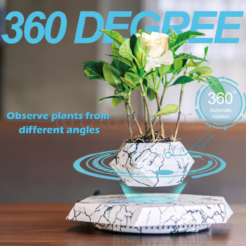 家居裝飾｜漂浮盆栽