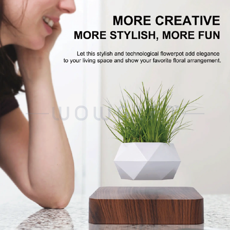 家居裝飾｜漂浮盆栽