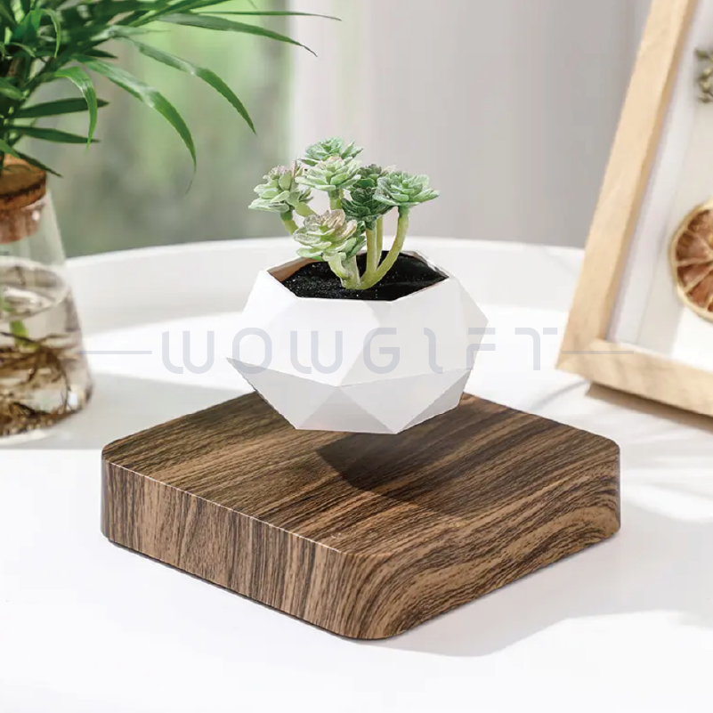 家居裝飾｜漂浮盆栽