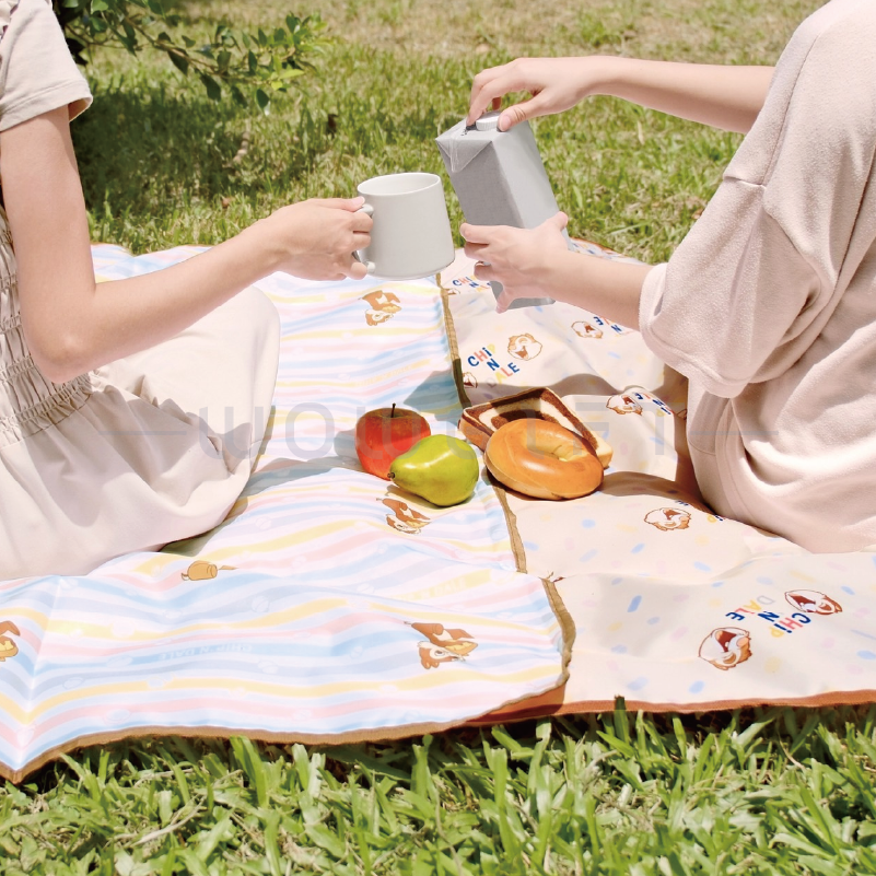 【奇奇蒂蒂】多用途野餐墊包