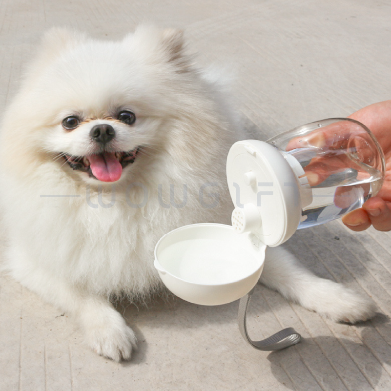 輕巧寵物水杯